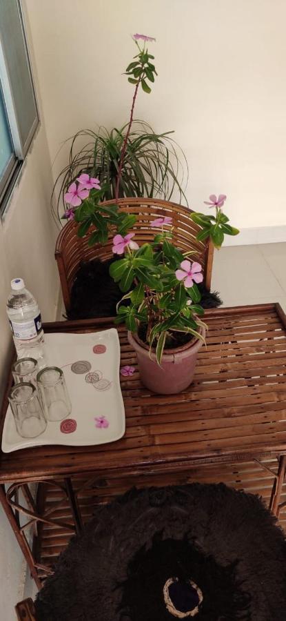 Untrained & Unplanned Apartment Jabalpur Ngoại thất bức ảnh